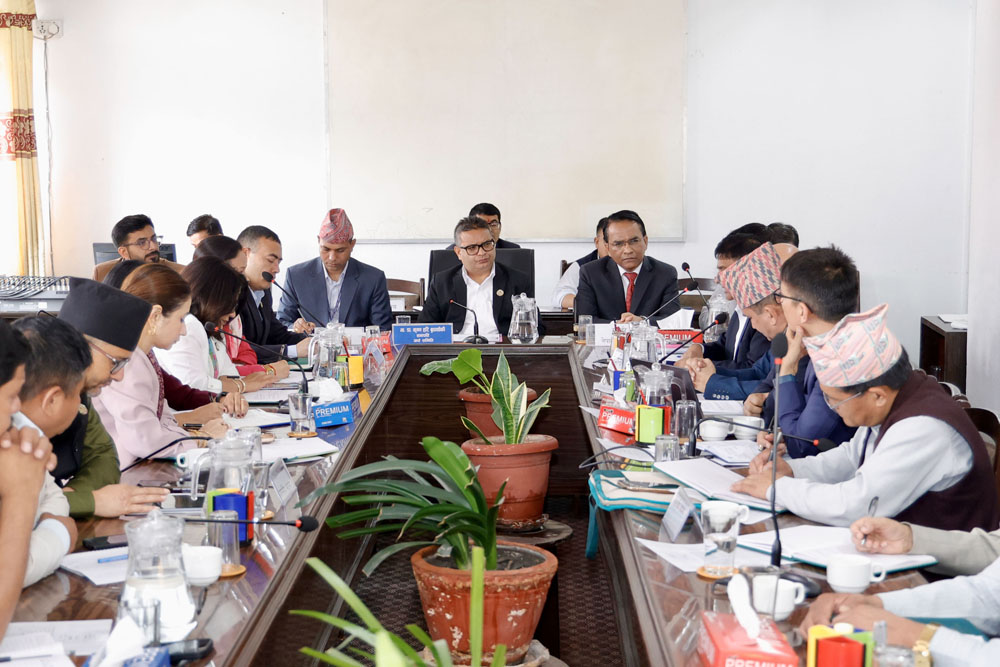 अर्थ समितिमा गभर्नरसँग सांसदको प्रश्न: -बैंकमा पैसा थुप्रिँदा पनि किन बढेन कर्जा?